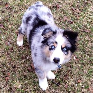 Meet your Posher, Kendall